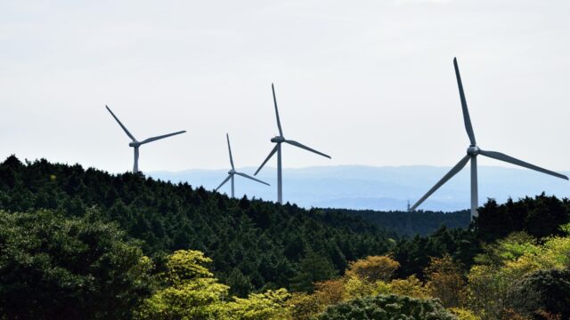 趣味と仕事は一緒にするな、という人の気持ちが少しわかった話